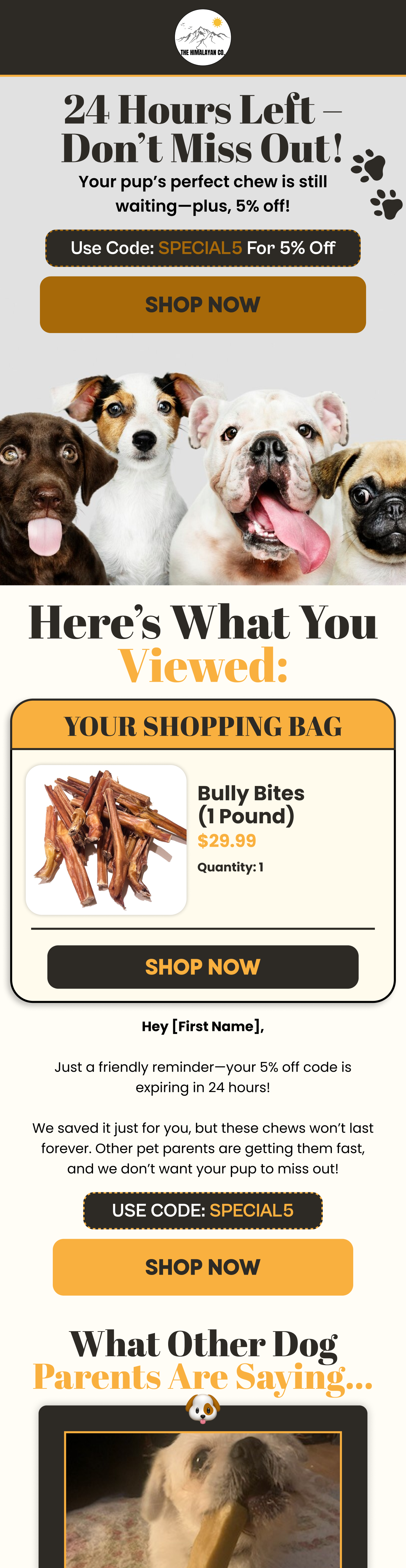 Email campaign design by Supersonic Mails