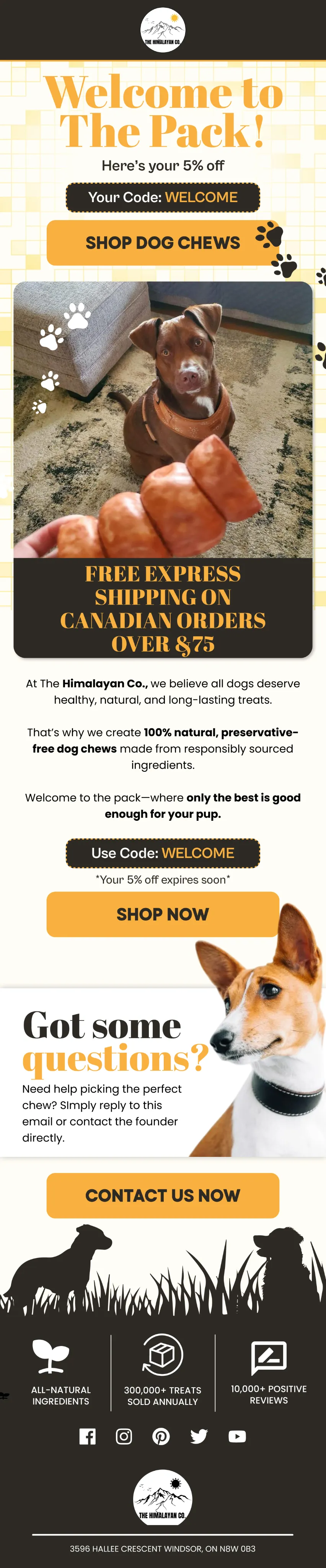 Email campaign design by Supersonic Mails